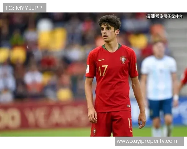 足球明星的职业生涯寿命与竞技状态分析及未来发展趋势探讨