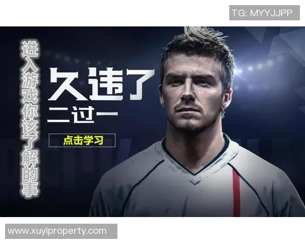 足球球星狗粮热销揭秘从绿茵场到宠物碗的跨界故事 足球球星狗粮热销揭秘从绿茵场到宠物碗的跨界故事