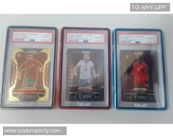 全新足球球星卡套装发售，收集顶级球员与稀有限量版卡片，开启精彩球迷之旅