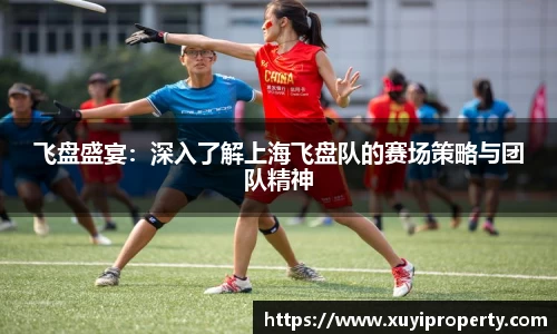飞盘盛宴：深入了解上海飞盘队的赛场策略与团队精神