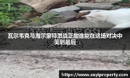 瓦尔韦克与海尔蒙特激战正酣谁能在这场对决中笑到最后