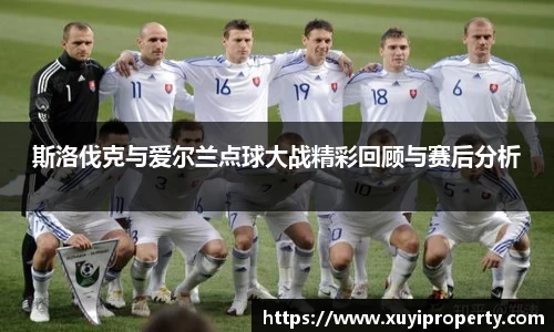 斯洛伐克与爱尔兰点球大战精彩回顾与赛后分析
