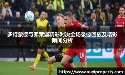 多特蒙德与弗莱堡精彩对决全场录像回放及精彩瞬间分析